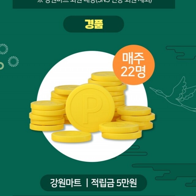 강원더몰,테스트
